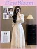 French Elegant Lace Long Sleeve Dress With Vneck For Spring Fashion