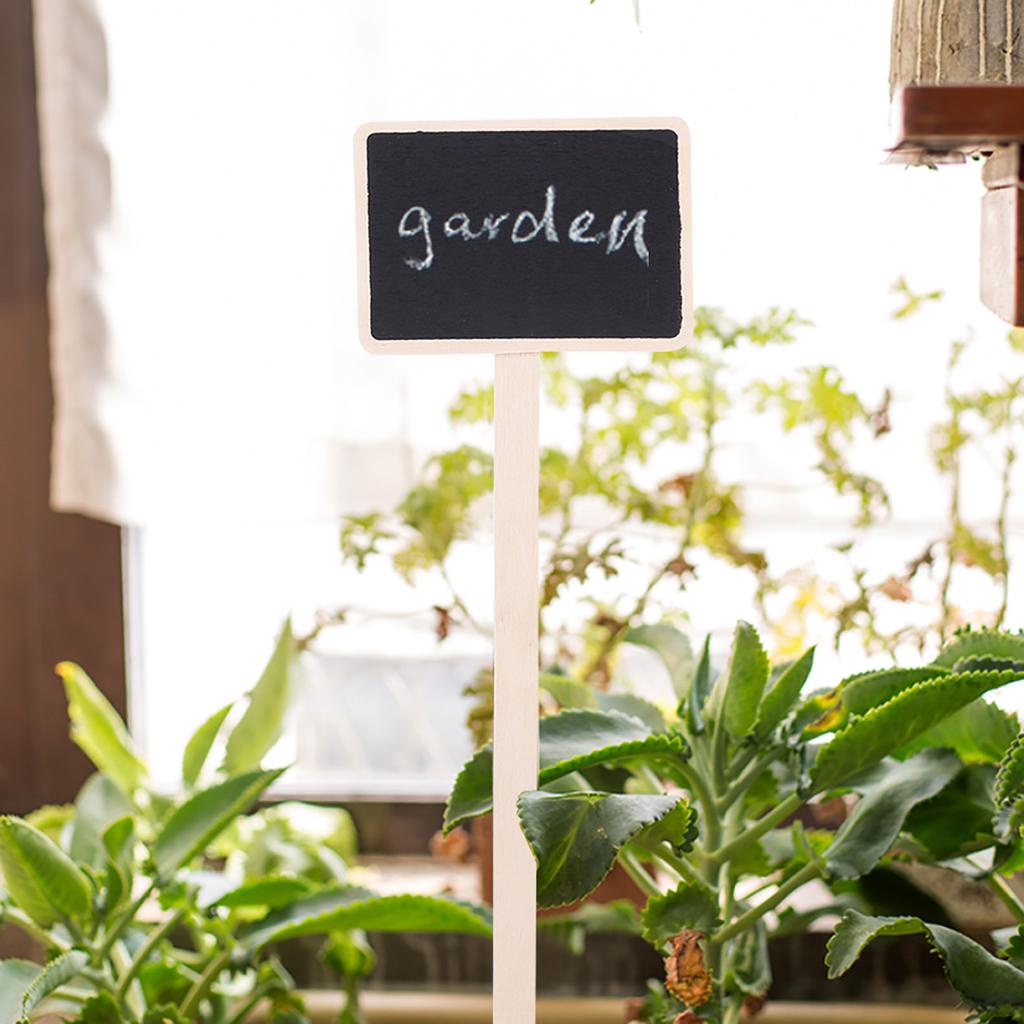 10Pcs Plant Sign Tag Plants Flower Price Tag Mini Message Blackboard Garden Decoration