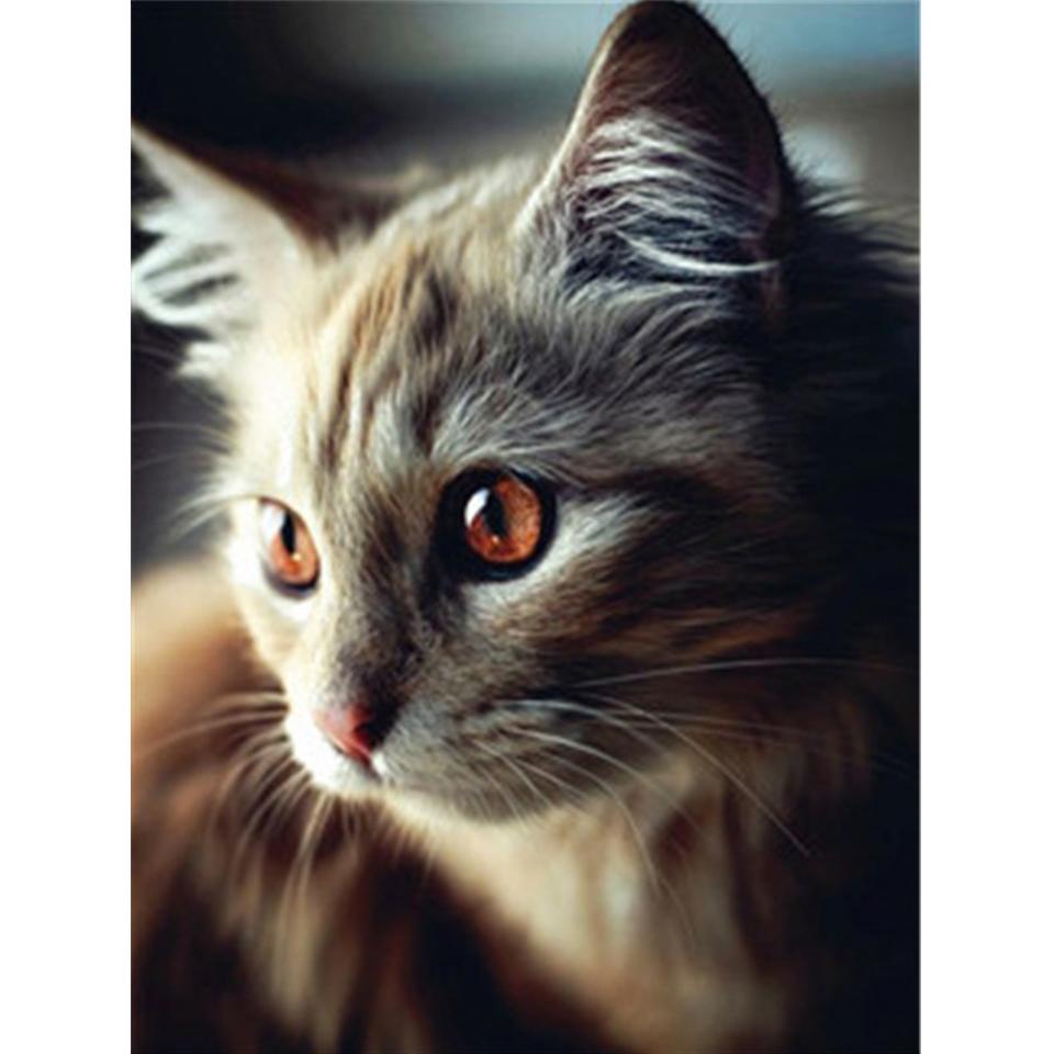 

5D DIY алмазная живопись животное кошка полная круглая Алмазная вышивка мозаика горный хрусталь картина украшение мебели подарочный комплект Full Round 20x30CM