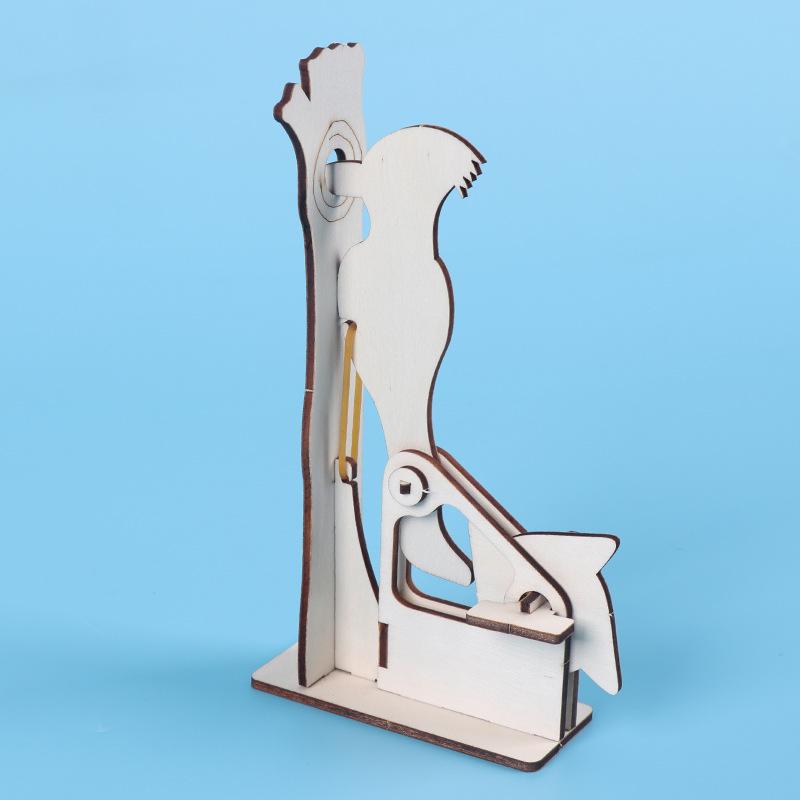 Woodpecker STEM DIY Science Kits: Creative Educational Toys and Teaching Aids for Kids