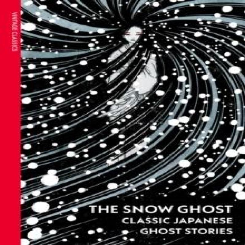 The Snow Ghost by Various Paperback Book 9781784878733