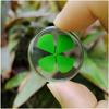 2Pcs Real Four Leaf Clover - Clover Stone Pocket Lucky Charm, Irish Blessing Good Luck Gift for Friends, Family (Transparent)