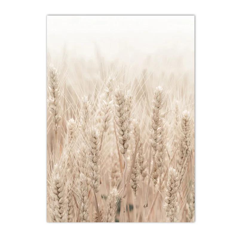 

бежевый постер для интерьерадекорация ракушки тростника скальп холст живопись современное настенное искусствоцветочная печатьуправление скандинавскими гостиными 21x30cm No Framed