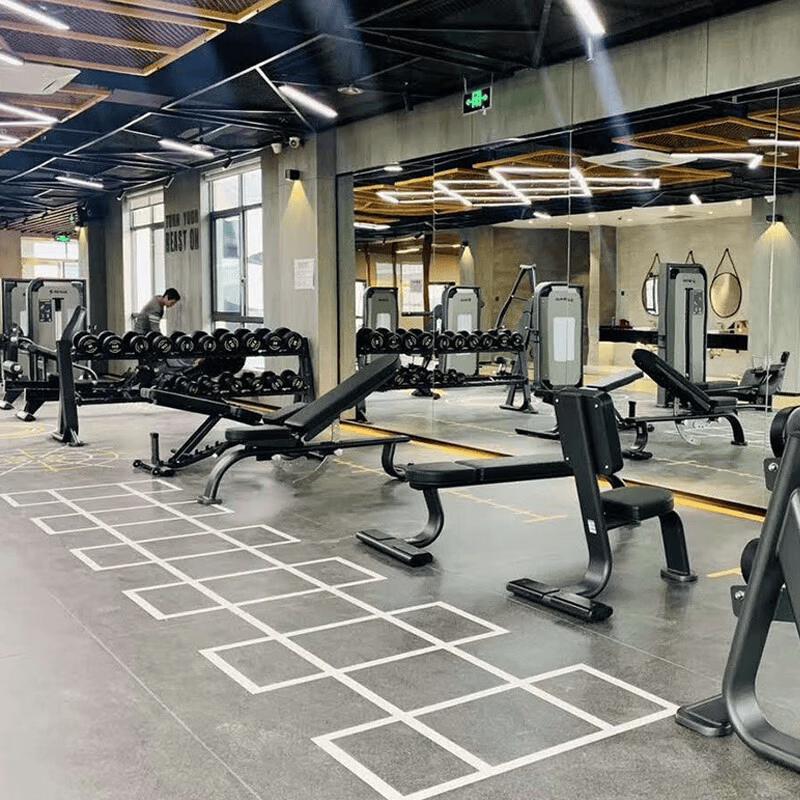 Shua 68 Series Commercial Strength Training Equipment