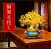 Money Tree Feng Shui Interior for Wishing for Good Business Power Gift for New Year Flower (Citrine) - Ornament, Decor, Wealth, Fortune, Prosperity,
