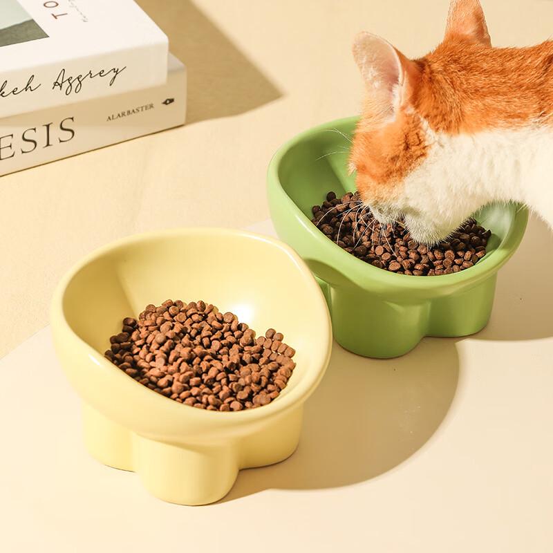RuHan Elevated Ceramic Pet Double Bowl