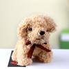 Cute Children's Teddy Bear Dog Plush Toy  Puppy Doll
