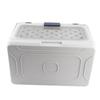 Transparente Tragbare Katzentransportbox Kunststoff Faltbar Große Kapazität Reise Haustiertransportbox 50x32x31cm Für Flugzeug Auto Reisen im Freien