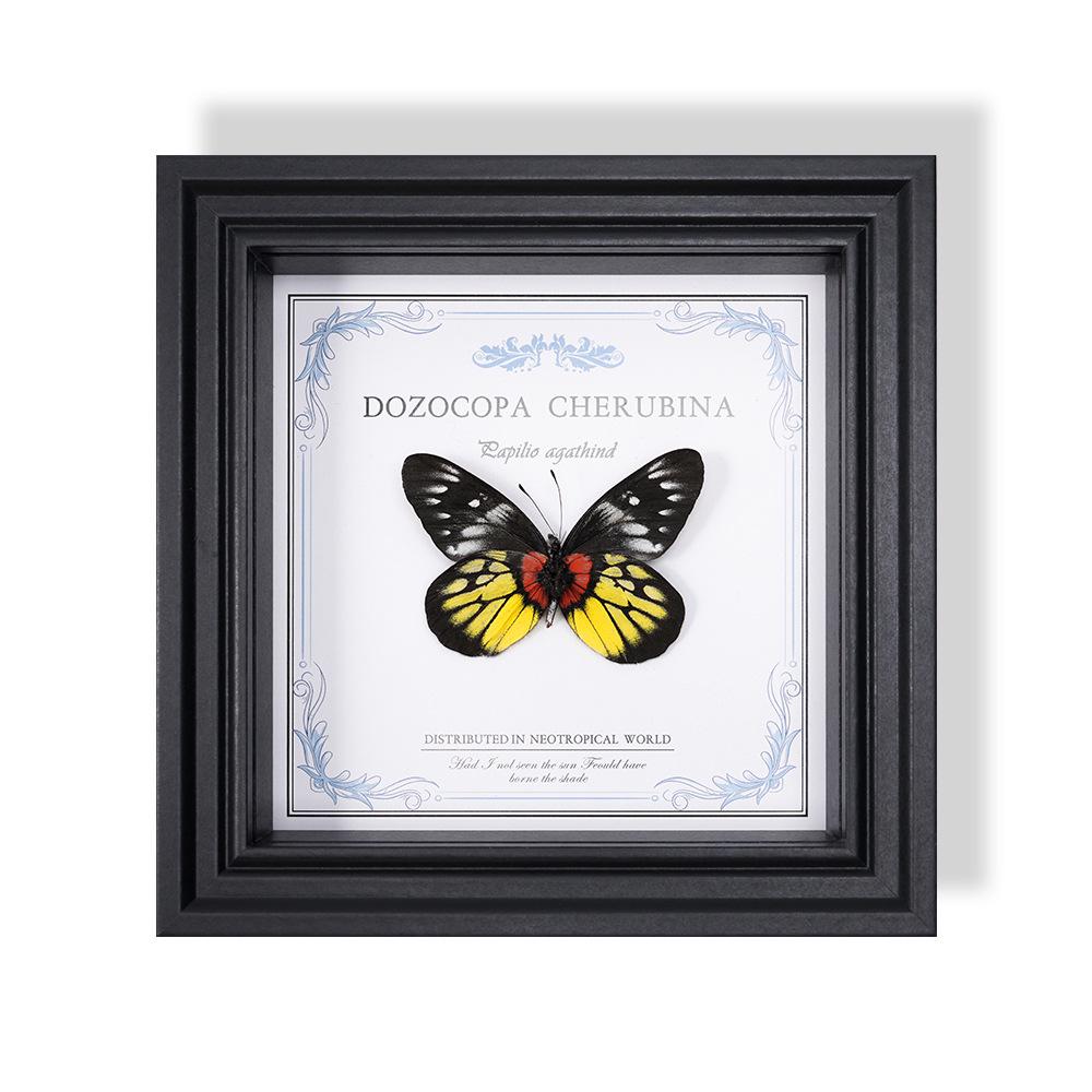 Wall-Mounted Butterfly Specimen Photo Frame: Home Decor & Gift for Valentine's Day, Qixi, Birthday, Couples & Insect Lovers