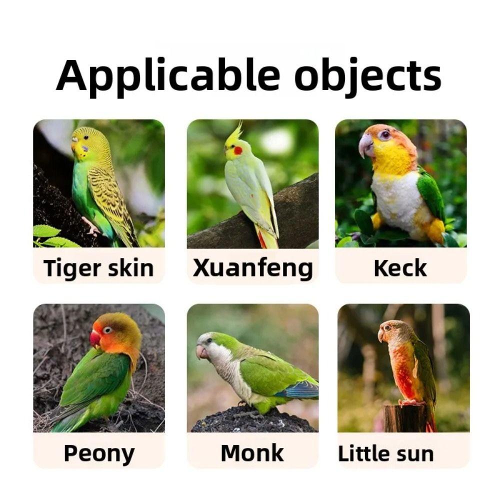 USB Electric Automatic Bird Bath Low-Noise Design Bird Shower Fountain  for African Grey