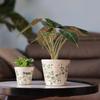 Retro Blue & White Distressed Ceramic Succulent Pot – Simple Decorative Vase for Green Plants & Flowers