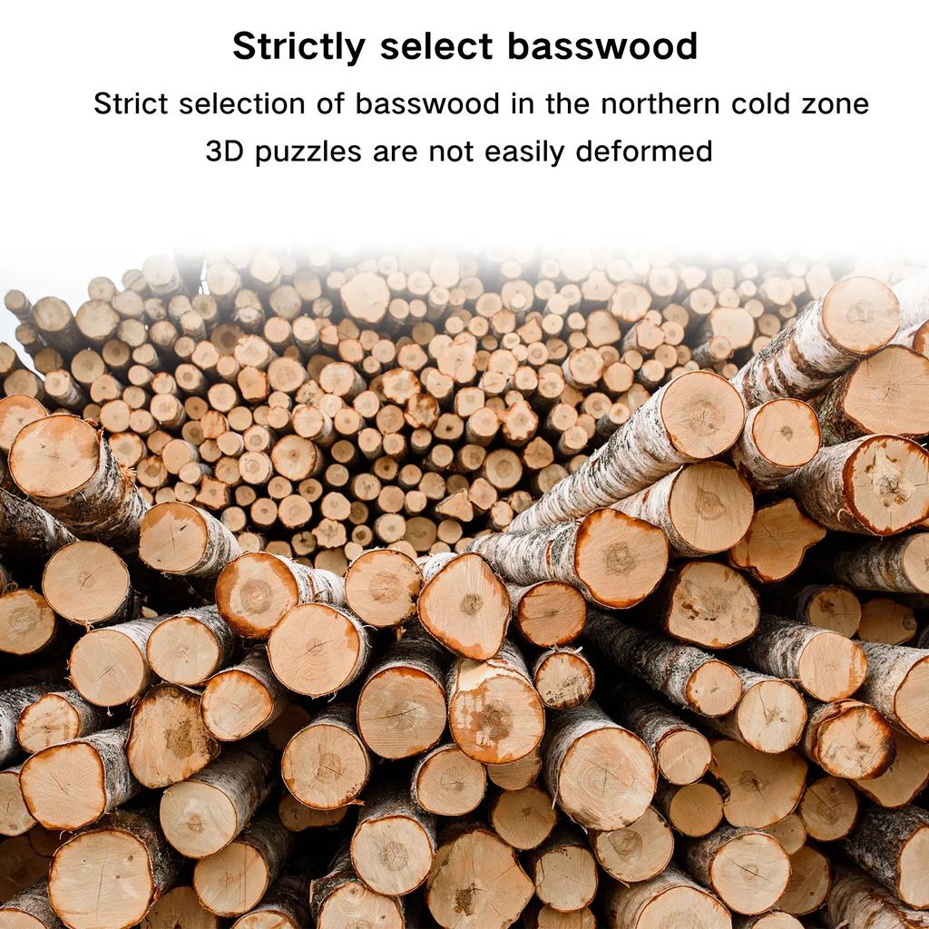 3D Holzpuzzle Spieluhr Kreative Riesenrad Dekoration DIY Lindenholz Riesenrad Bastelarbeiten Weihnachtsspieluhr Weihnachtsgeschenke