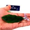 1Pcs Fish Tank Fake Plants Decoration Green Leaf Hammock For Betta Fish Stress-Reducing Aquarium Decor With Suction Cup