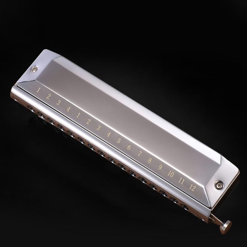 12 Holes Blues Harp Diatonic Harmonica 48 Tones Mouth Organ Harmonica For Adults