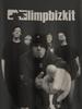 Pánské tričko kapely Limp Bizkit Unisex Nu Metal Grafické tričko Pro Unisex Unisex Turné 2026