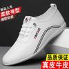 Summer New Men's Leather Versatile Soft-soled Casual Leather Shoes One-pedal Driving Doudou Shoes