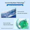 Water Secret Sea Spring Deep Hydrating Essence