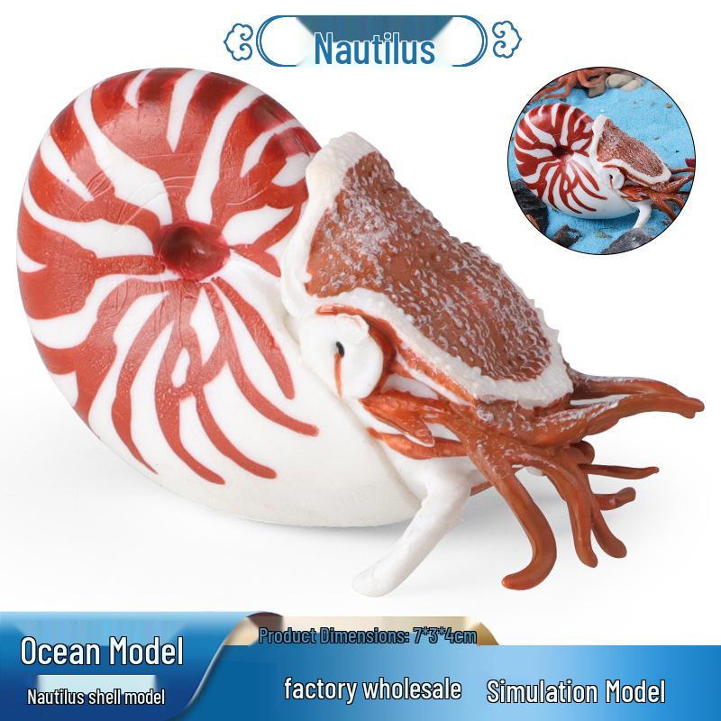 Ancient Marine Animal Ammonite Simulation Set: Educational Gifts for Kids