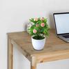 Artificial Bonsai Delicate Realistic Plastic Decorative Simulated Fruits Plants for Office