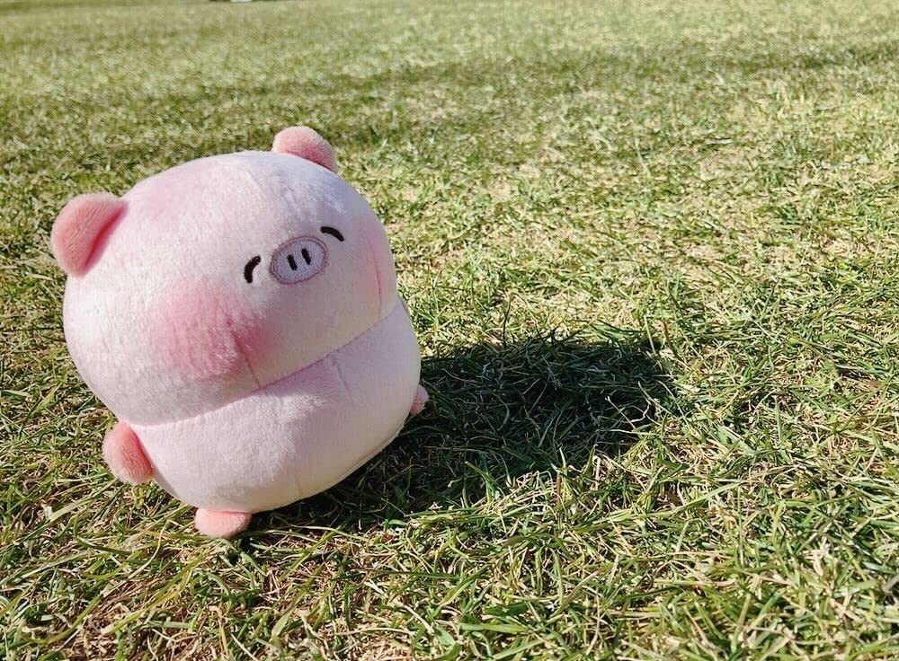 Eight Entertainment Potepoteko Piglet Plush Toy, W10 X H10 X D9cm, Polyester, OR-9476