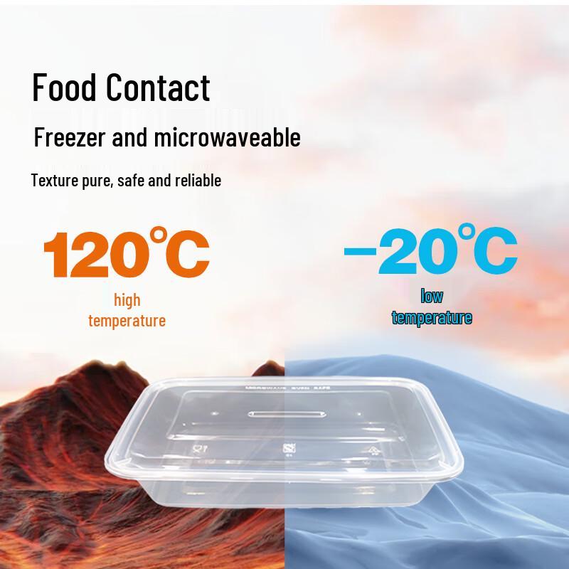 WEISHENG Disposable Takeout Food Containers