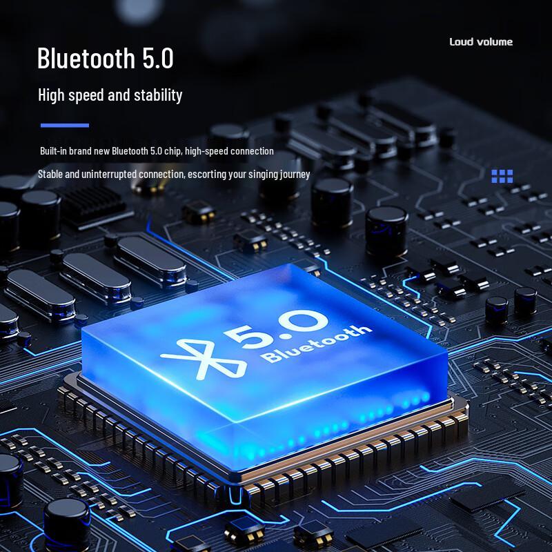 Soaiy Portable Audio Systems & Accessories