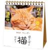 Active Corporation 2027 Desk Calendar Hinatabokko Neko Dayori Cute Cat Illustrations with Uplifting Messages 27ACL-539 Made In Japan January Start