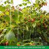 Garden Square Mesh Trellis Netting Polyester Plant Climbing Support Net For Outdoor Vegetables Fruits Vines Grow Tent Climber Holder