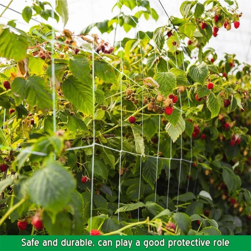 Garden Square Mesh Trellis Netting Polyester Plant Climbing Support Net For Outdoor Vegetables Fruits Vines Grow Tent Climber Holder