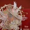 Phoenix Embroidery Bridal Fan DIY Kit: Double-Sided Chinese Style with Fireworks Pattern