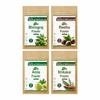 Drontika Bioleaf Botanicals Amla, Shikakai, Reetha, Bhringraj Powder 400g, I Pack of 4