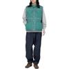 The North Face Vest Men's Green N24FN021-G