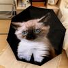 1PC Kittens  Automatic Umbrella - Suitable Travel Outdoor Portable Umbrella Birthday Gift Daily Essentials