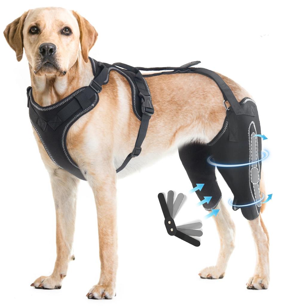 Dog Knee Brace Torn Acl Hind Leg Brace Support Luxating Patella Cruciate Ligament Joint Relief Pain Dog Elbow Brace Sleeve