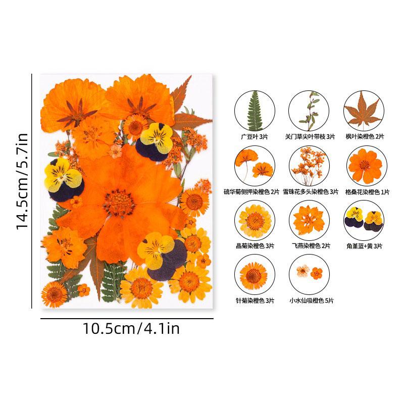Halloween Theme Pressed Flower Kit for Resin Art Natural Real Pressed Orange Flower Leaves for DIY Epoxy Jewelry Bookmark