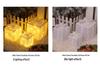 Christmas LED String Lights Gift Set: 3-Piece Decoration for Festive Party Atmosphere