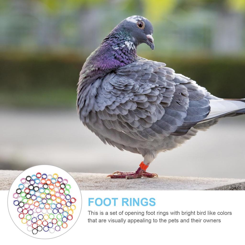 100 Piece Set Poultry Foot Rings Bird Identification Rings Chicken Duck Foot Rings Clips Chicken Duck Foot Rings Pigeon Duck Chicken Foot Rings Split