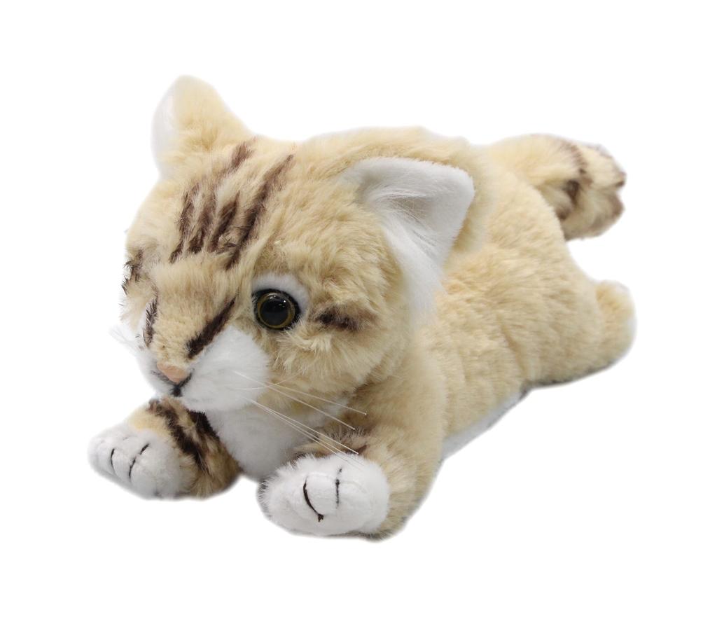 Takeoff Sand Cat S