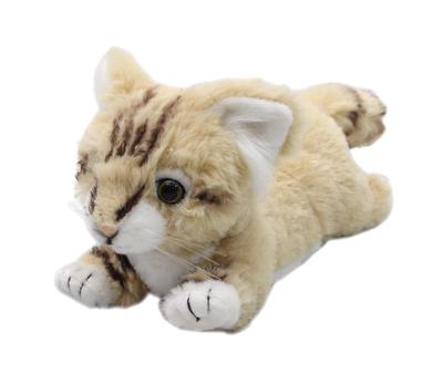 Takeoff Sand Cat S