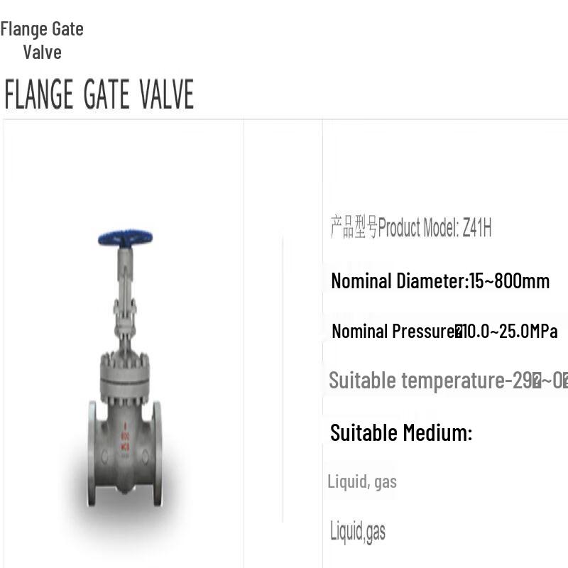KST Flanged Gate Valve