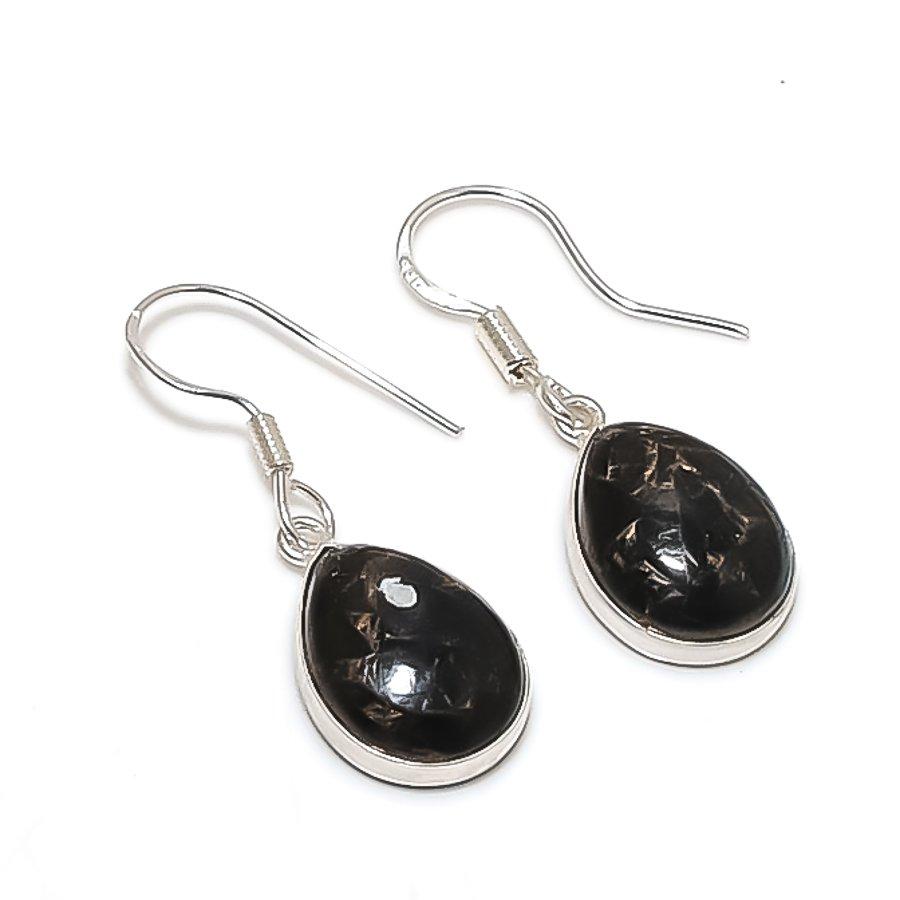 Turritella Fossil Gemstone 925 Sterling Silver Jewelry Earring 1.42" KJ-919