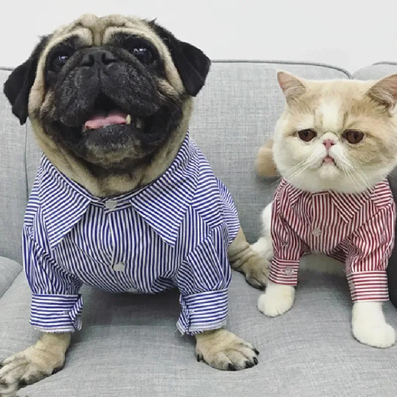 Sommer Hundehemd Katze Welpe Kleine Hundekleidung Chihuahua Yorkshire Pomeranian Shih Tzu Pudel Schnauzer Französische Bulldogge Kleidung