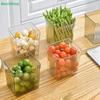 Transparent PET Plastic Fridge Organizer, Multipurpose Refrigerator Side Door Storage Bin