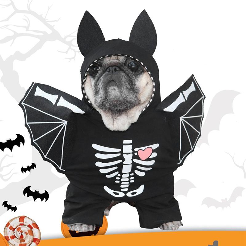 Ubranko Nietoperz dla Psa Kostiumy na Halloween dla Zwierząt Nietoperz dla Małych Średnich Dużych Psów