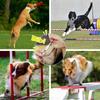 1 Pack Adjustable Ultrasonic Silent Dog Whistle Stop Neighbor Dog Barking Dog Recall Training Free Black White Lanyard Included