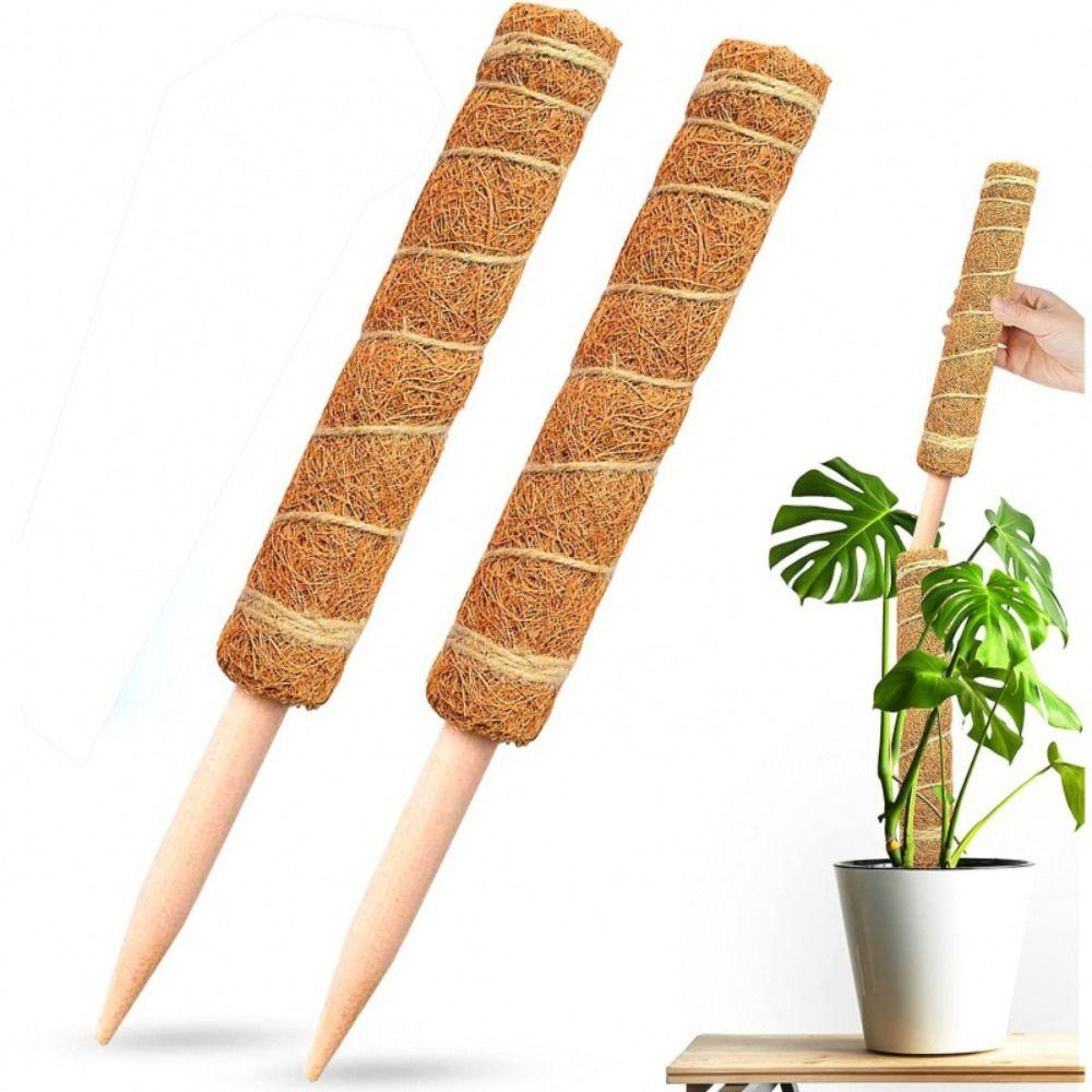 Fashion Detachable Moss Pole 32/42/52cm Gardening Tools Plant Climbing Pole To Grow Upwards Coconut Palm Stick Indoor