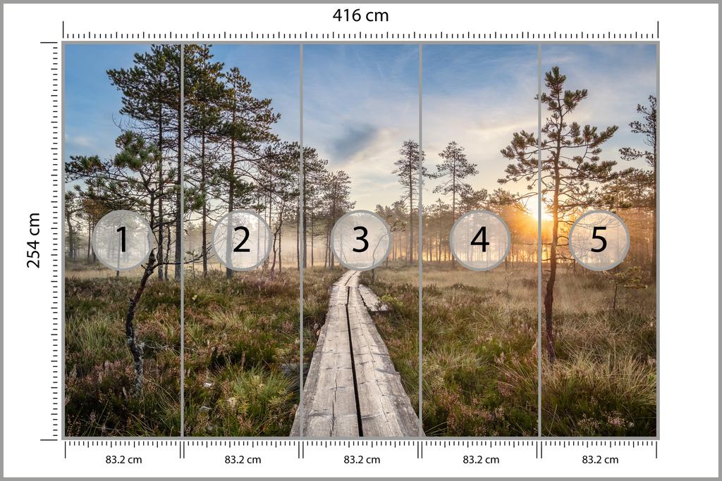 Photomural Wooden Path In The Forest Self-Adhesive Mural 416x290