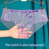 Sexy Plus Size Mesh Embroidered Sheer Triangle Panties for Summer