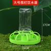 Chicken Trough Small Automatic Waterer Quail Feed Feeder Rutin Chicken Trough Chicken Automatic Feeder