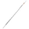 Wegwerp Serologische Pipet